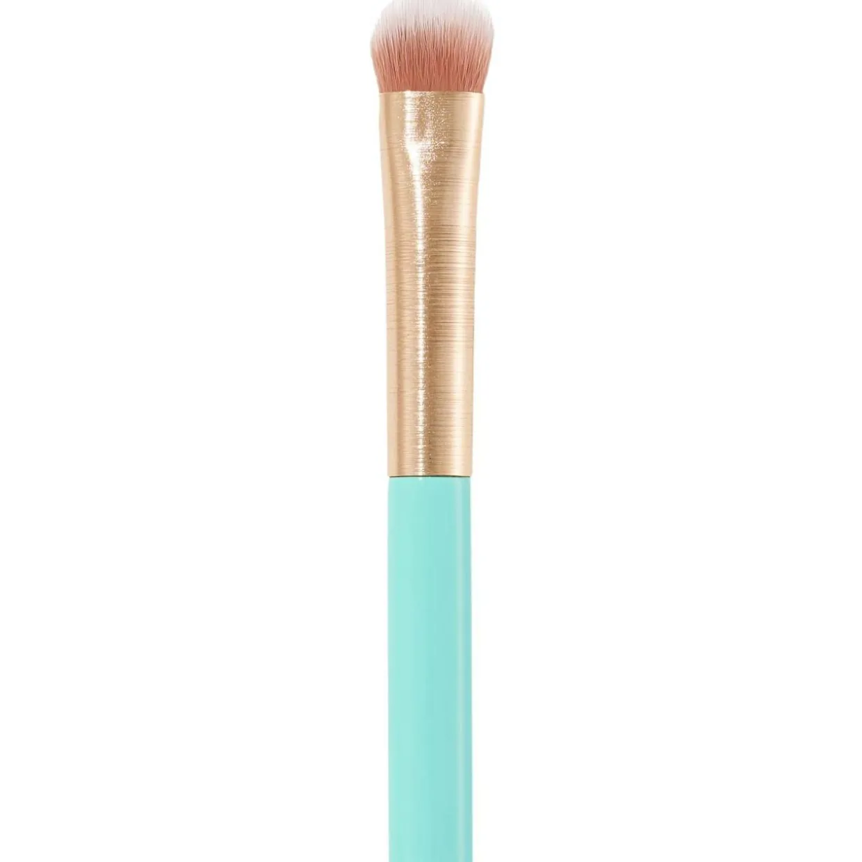 06 Eyeshadow Brush