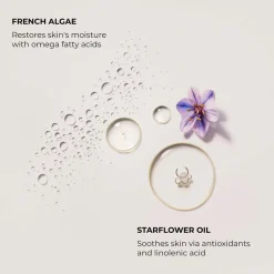 B&B Serum Body Cream Neroli du Sud
