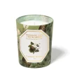 Benzoin & Fir