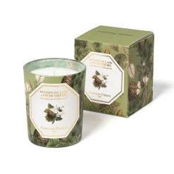 Benzoin & Fir