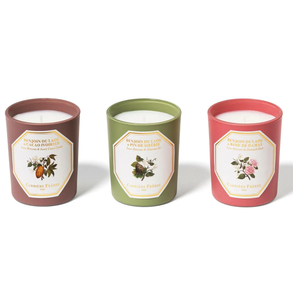 Botanical Set Laos Benzoin