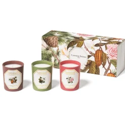 Botanical Set Laos Benzoin