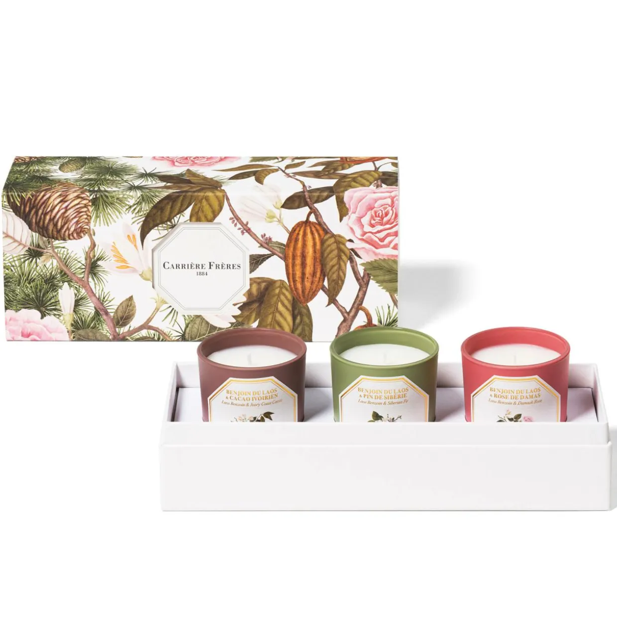 Botanical Set Laos Benzoin