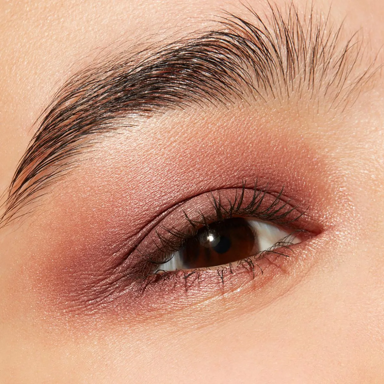 Connect In Eyeshadow Palette