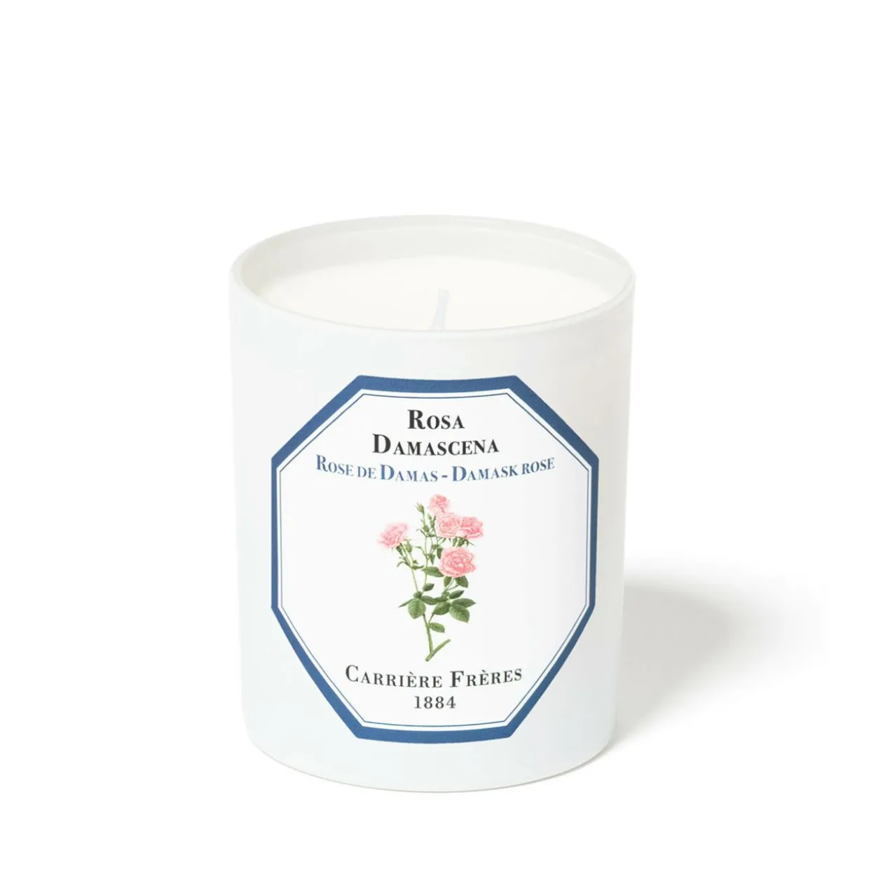 Damask Rose