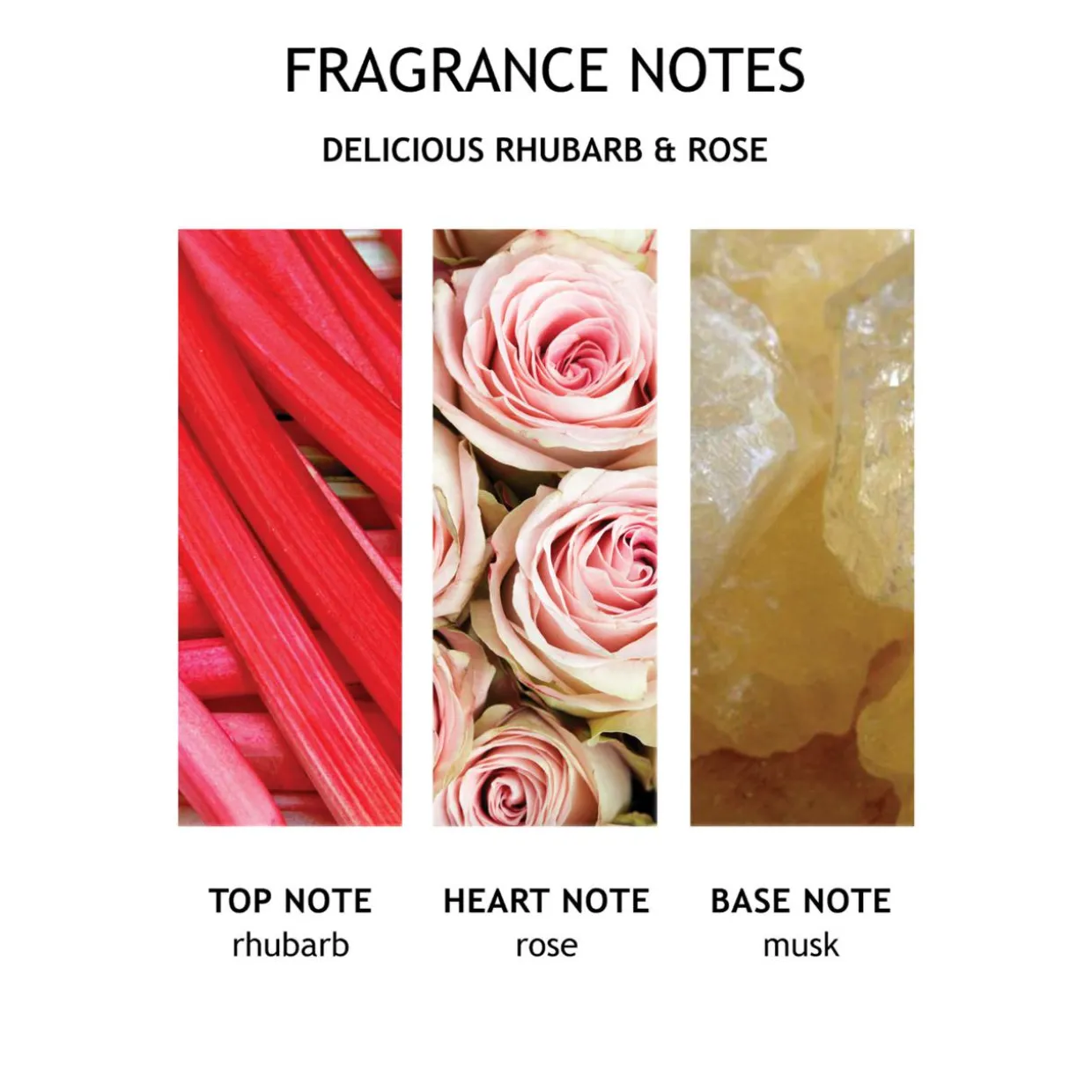 Delicious Rhubarb & Rose Hand Cream