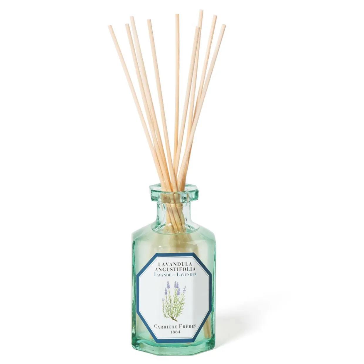 Diffuser Lavender - Lavandula Angustifolia