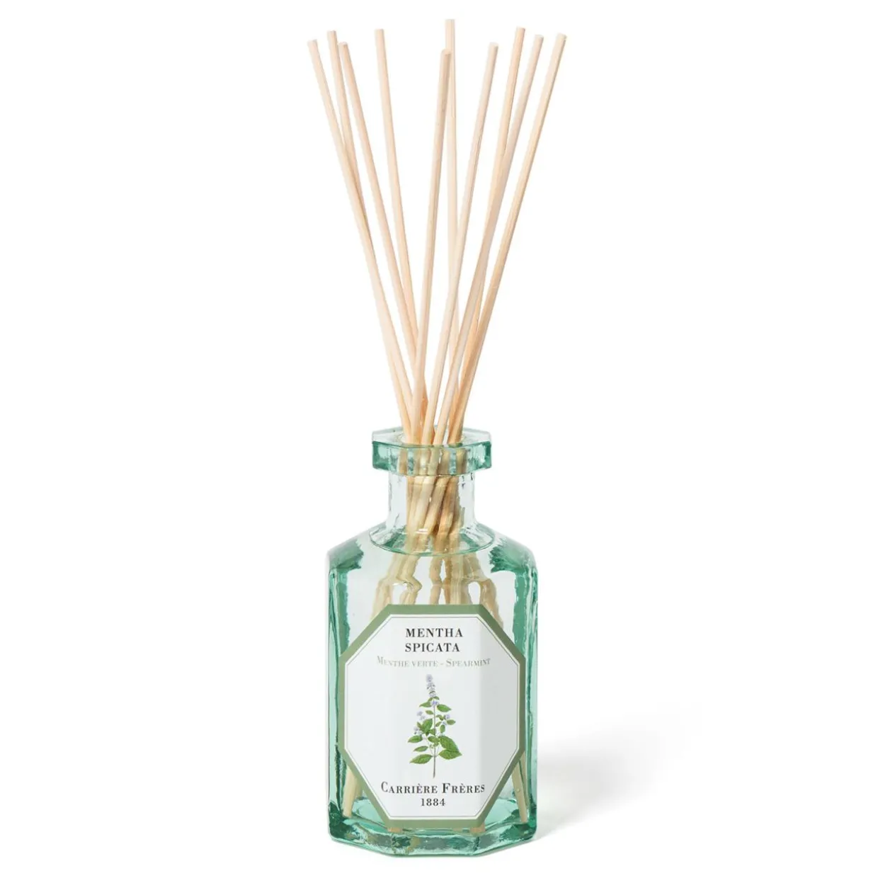 Diffuser Spearmint - Mentha Spicata