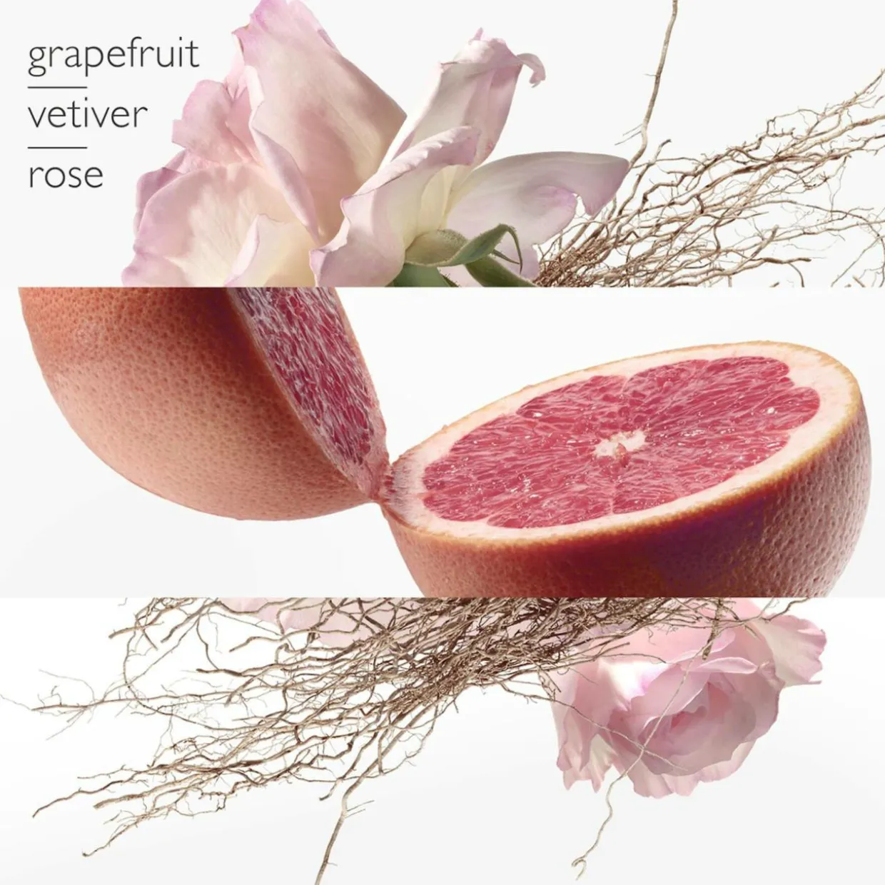 Eau de pamplemousse rose Eau de Cologne Spray