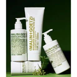 Eucalyptus Hand+Body Scrub