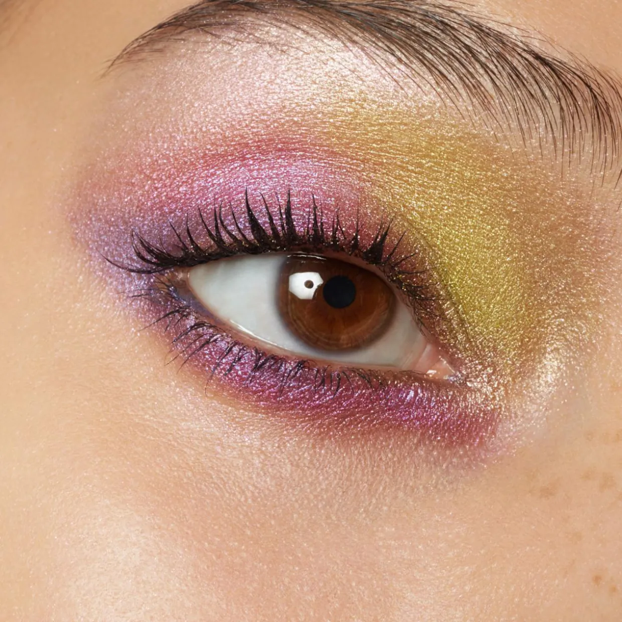 Eyeshadow 5 Colours