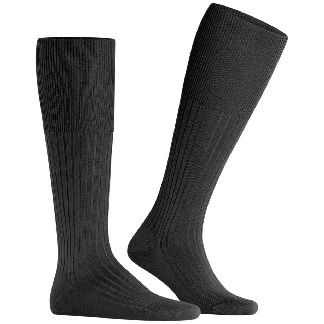 FALKE Bristol Pure Herren