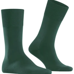 FALKE ClimaWool Herren