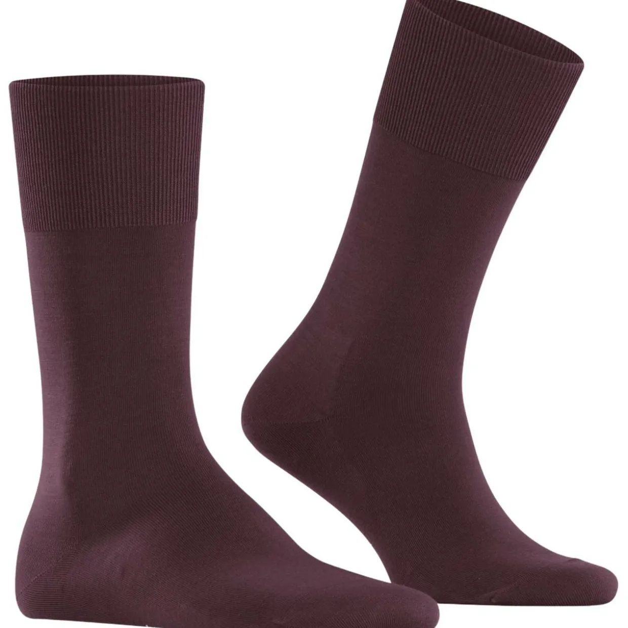FALKE ClimaWool Herren