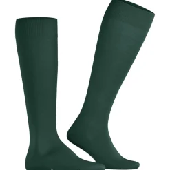 FALKE ClimaWool Herren