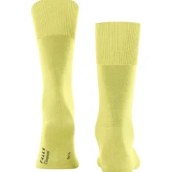 FALKE ClimaWool Herren