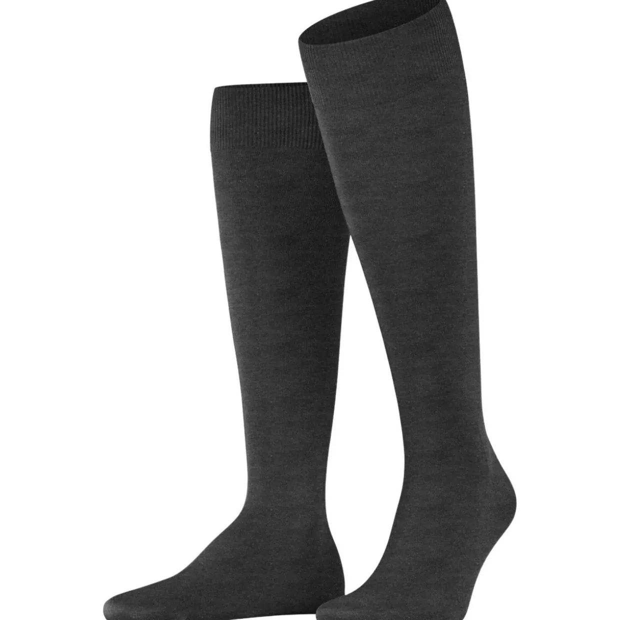 FALKE ClimaWool Herren