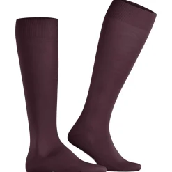 FALKE ClimaWool Herren