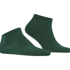 FALKE ClimaWool Herren