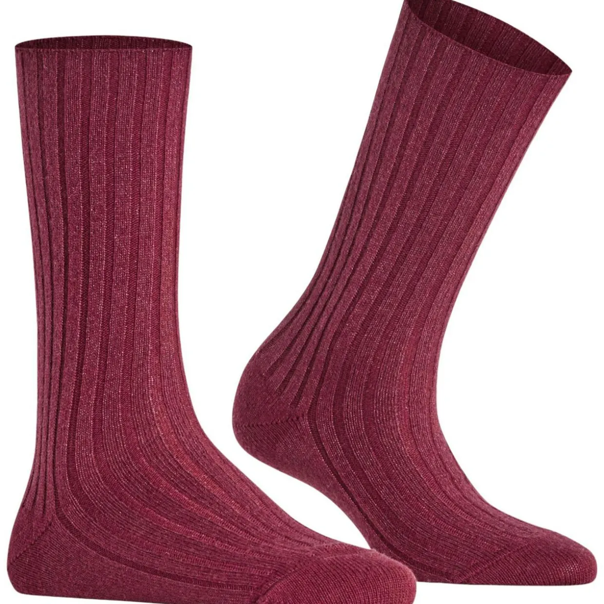 Falke cosy wool special edition damen