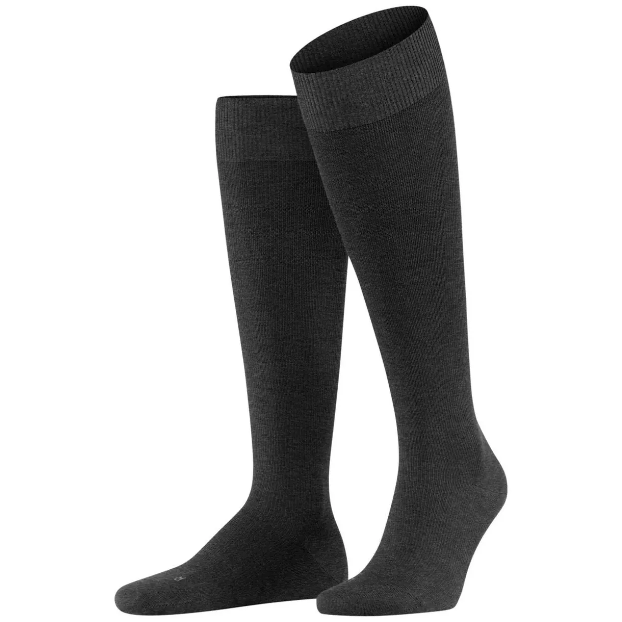 FALKE Energizing Wool Herren