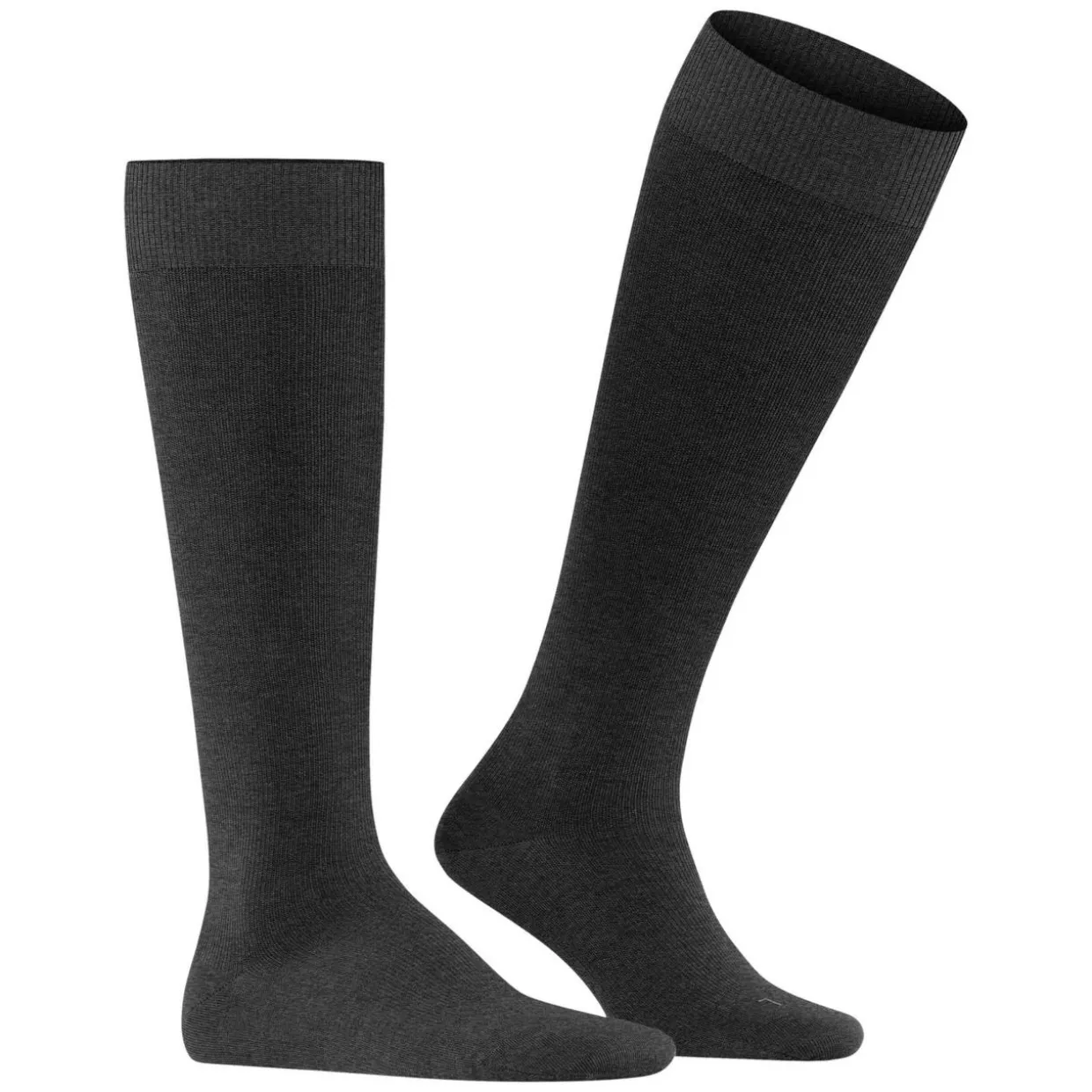 FALKE Energizing Wool Herren