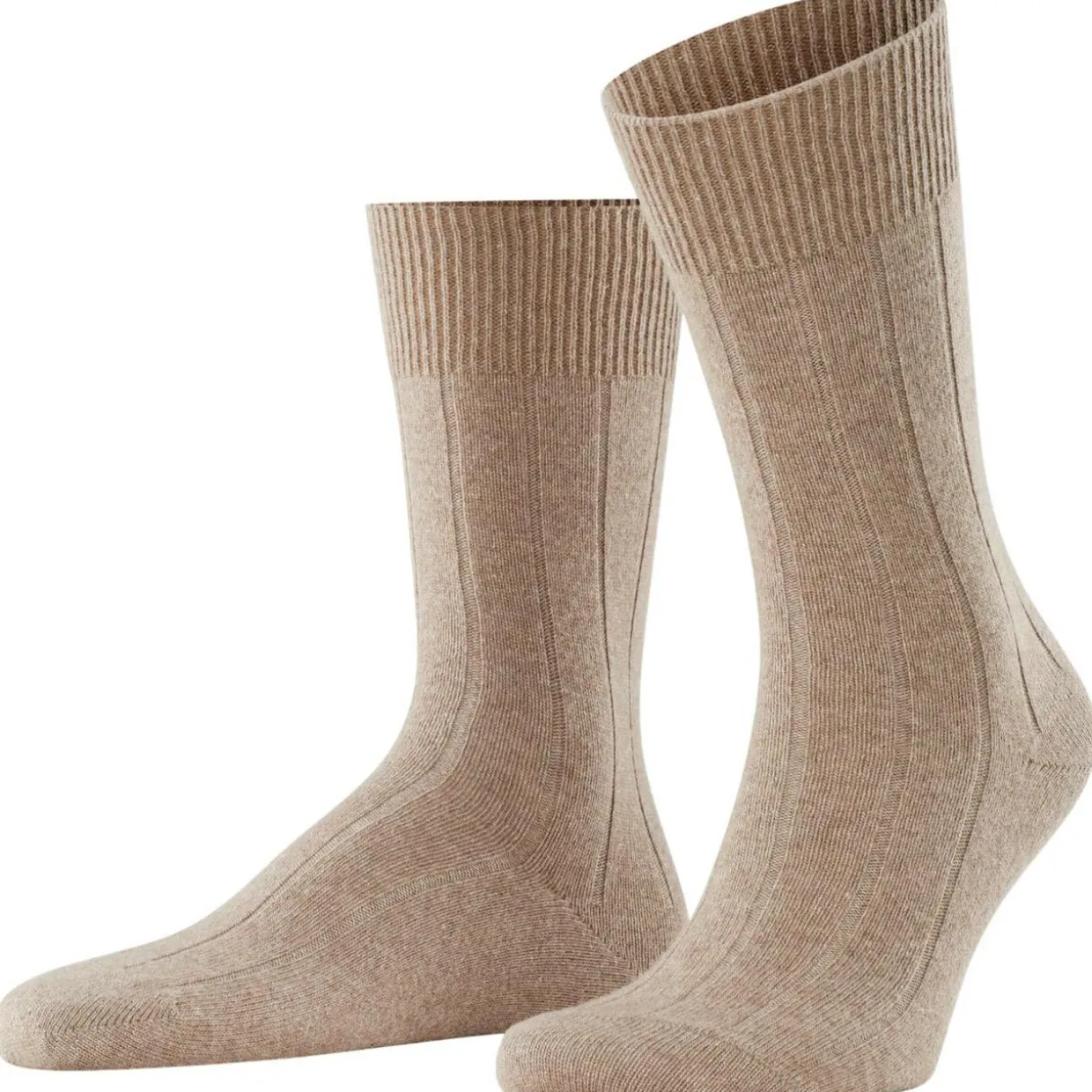 FALKE Lhasa Rib Herren
