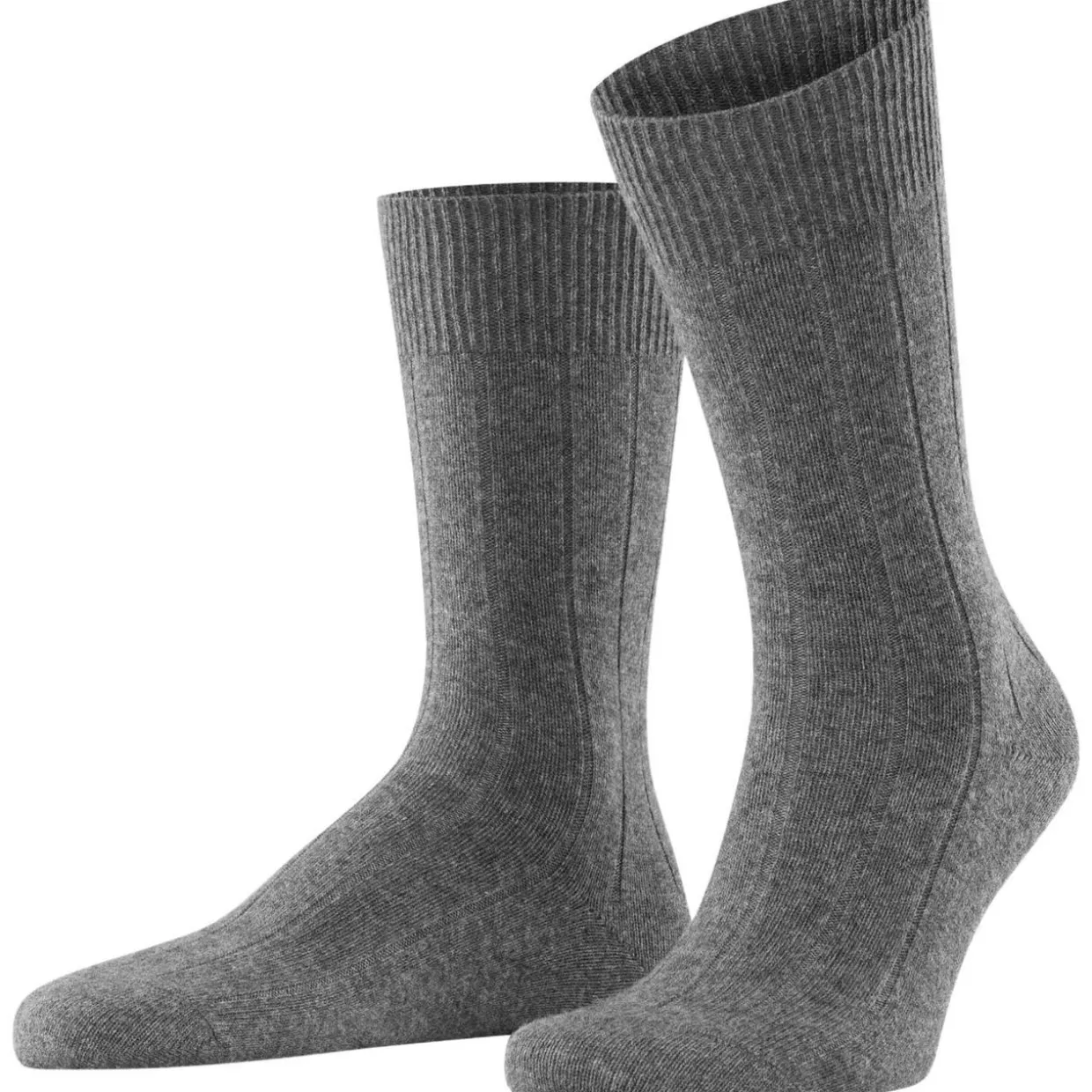 FALKE Lhasa Rib Herren