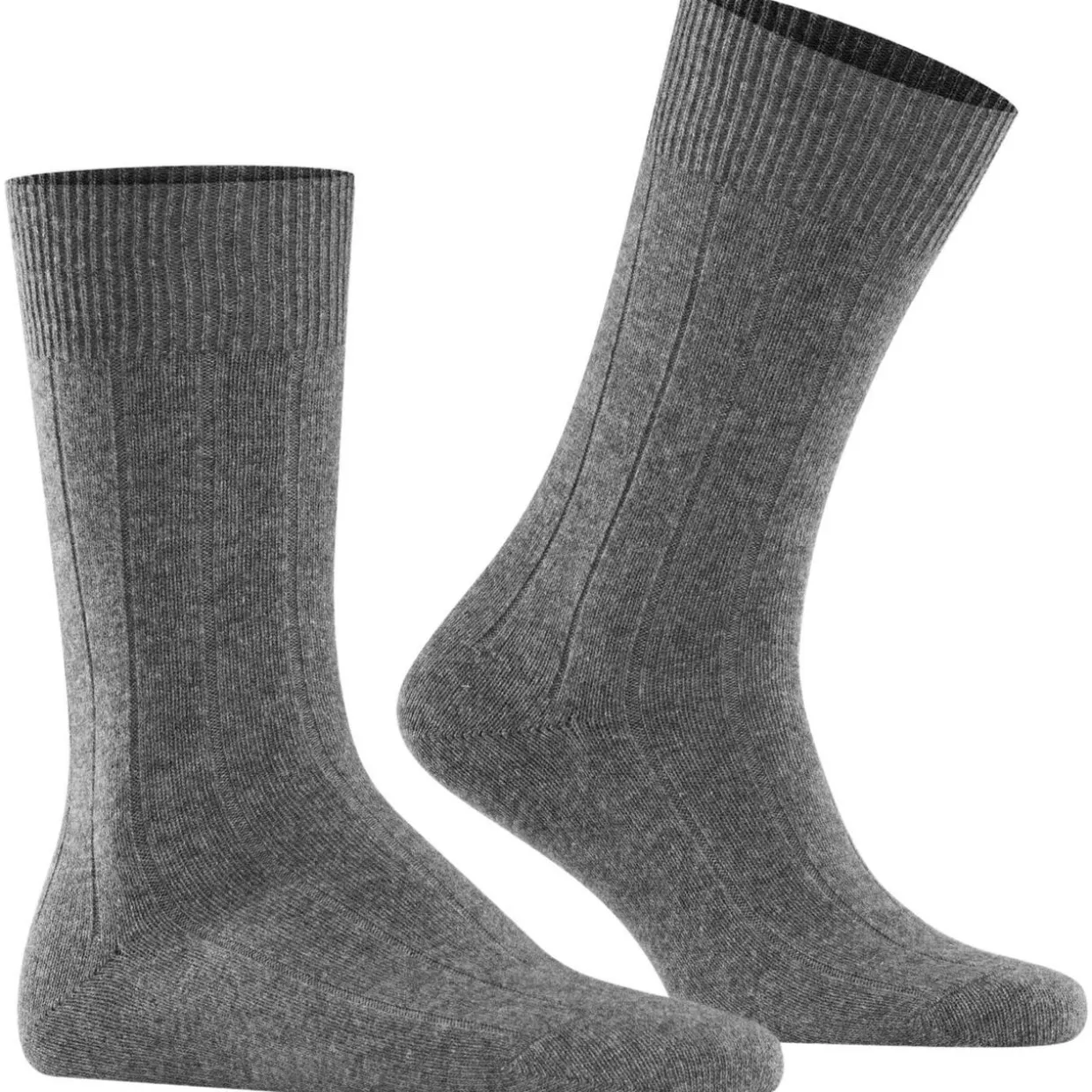 FALKE Lhasa Rib Herren