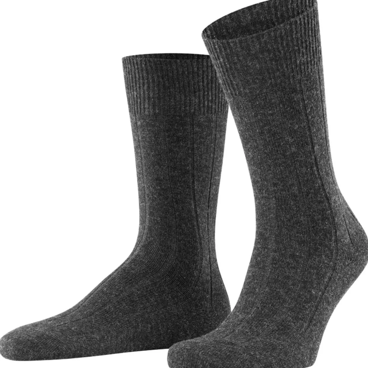 FALKE Lhasa Rib Herren