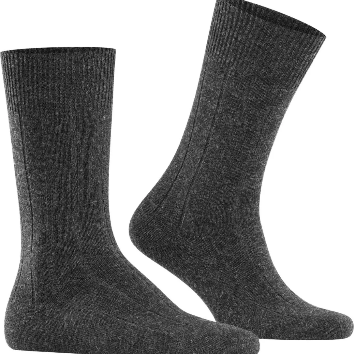 FALKE Lhasa Rib Herren
