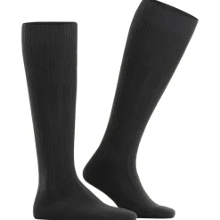 FALKE Lhasa Rib Herren