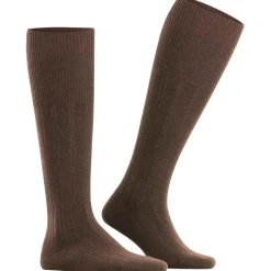 FALKE Lhasa Rib Herren