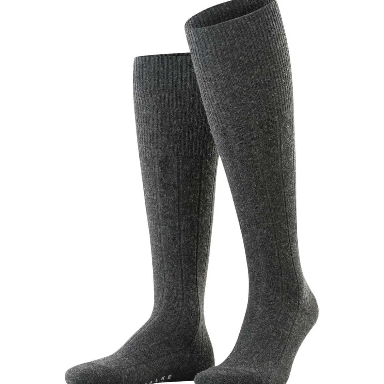 FALKE Lhasa Rib Herren