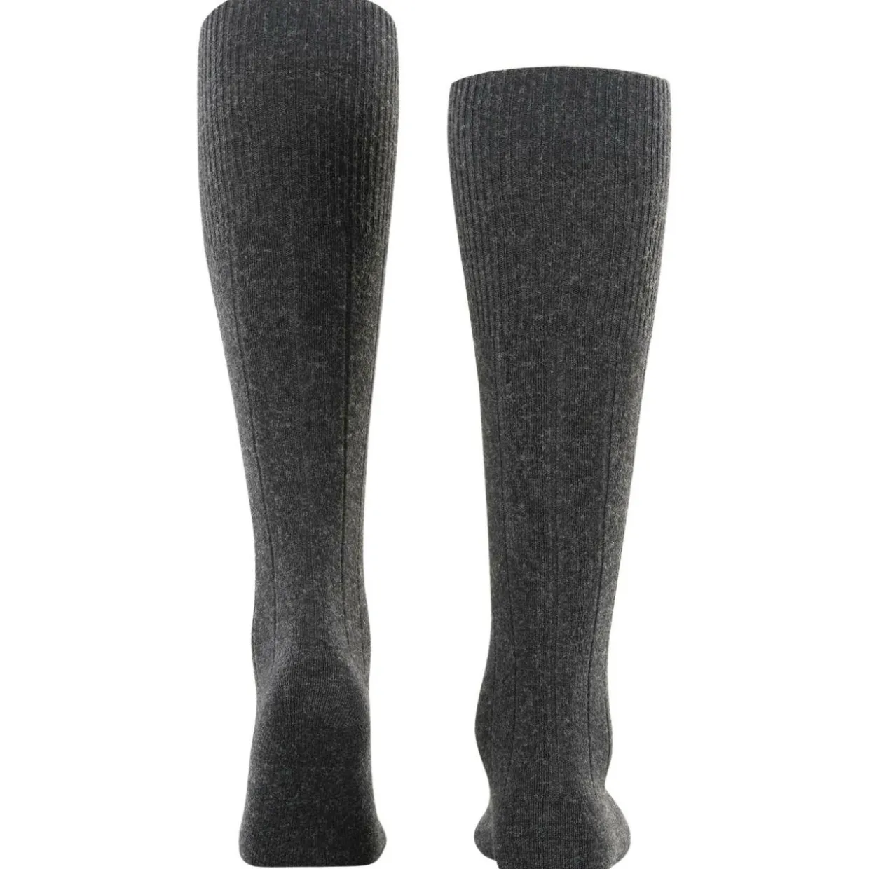 FALKE Lhasa Rib Herren