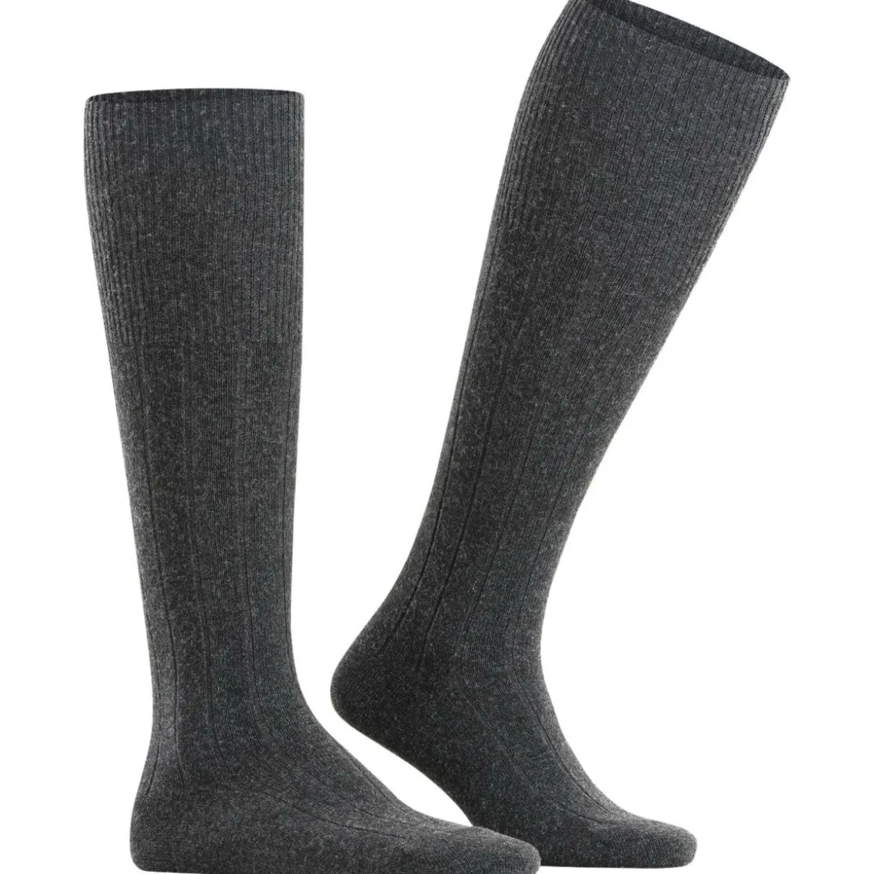 FALKE Lhasa Rib Herren