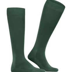 FALKE Tiago Herren