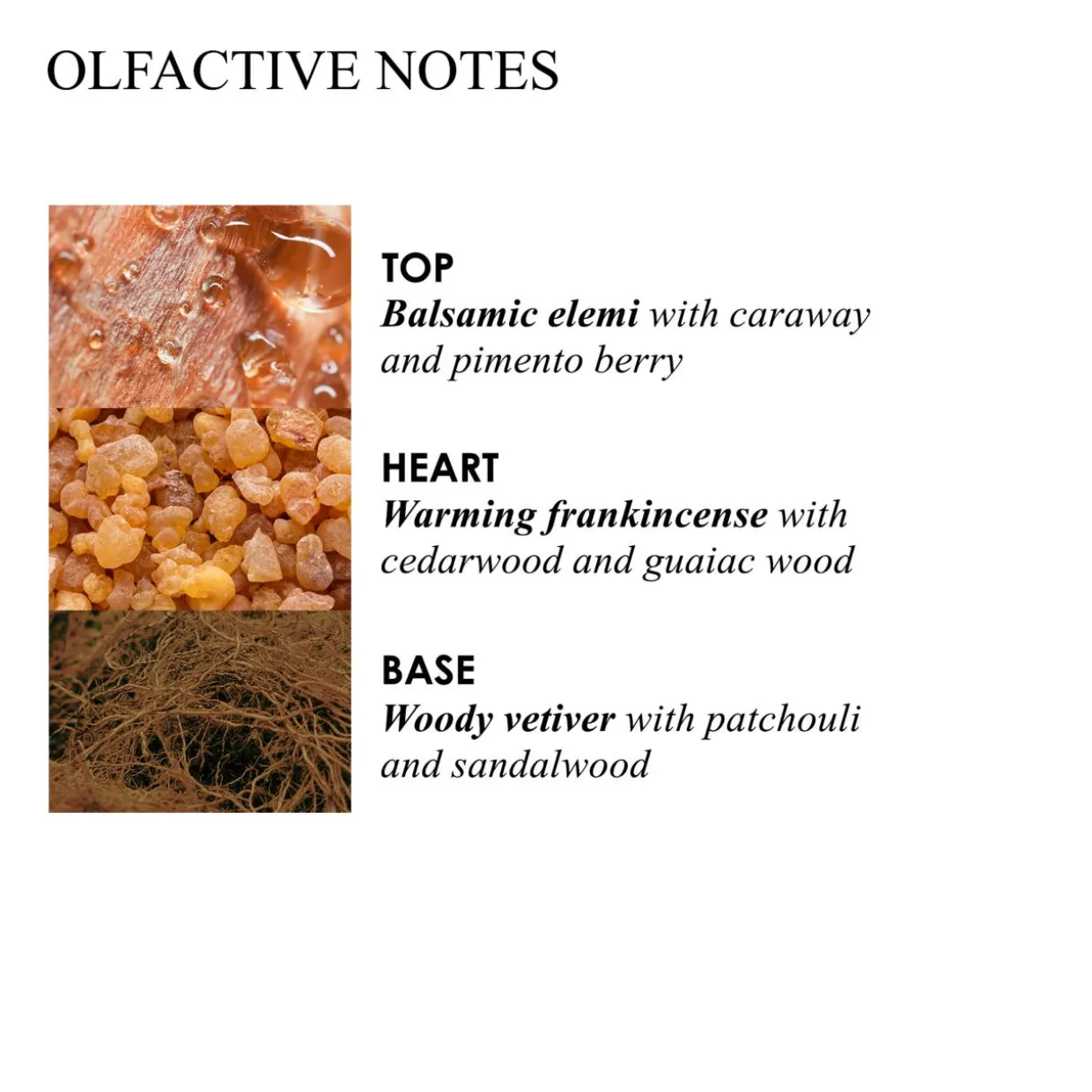Festive Frankincense & Allspice Fine Liquid Hand Wash