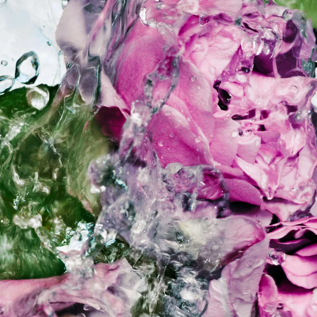 Hand Lotion Lost Rose