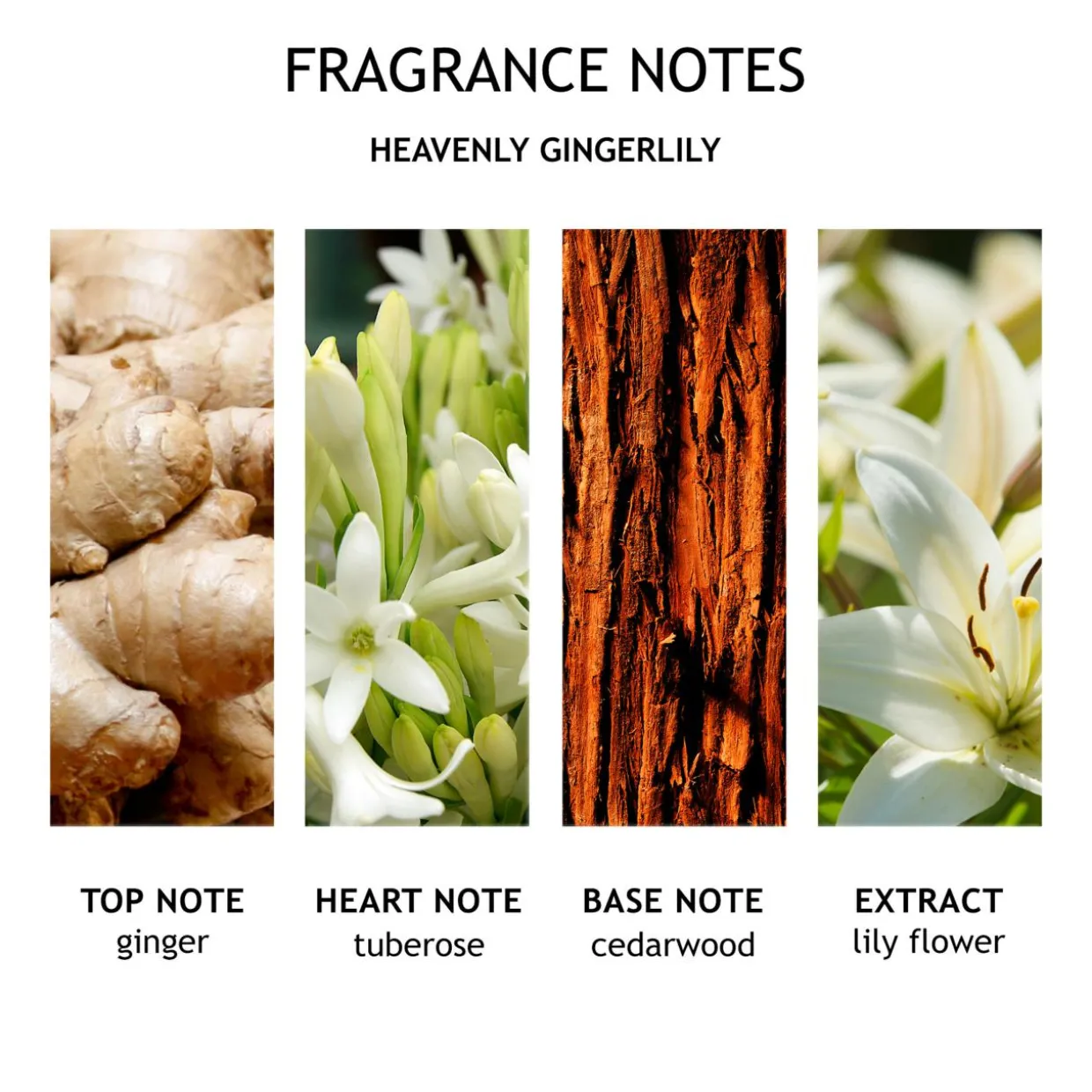 Heavenly Gingerlily Hand Wash