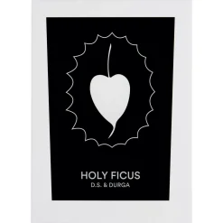 Holy Ficus Candle
