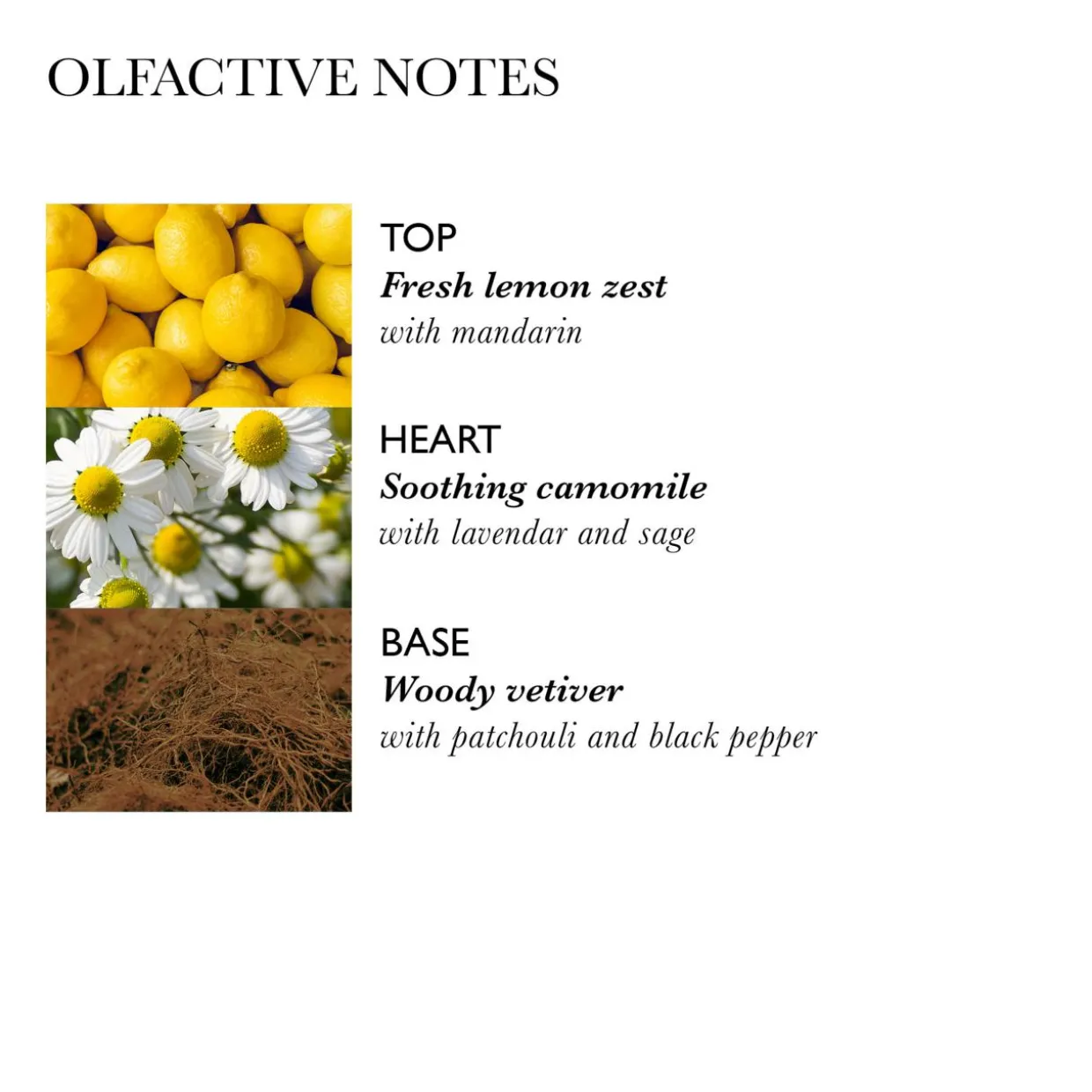 Hydrating Conditioner With Camomile