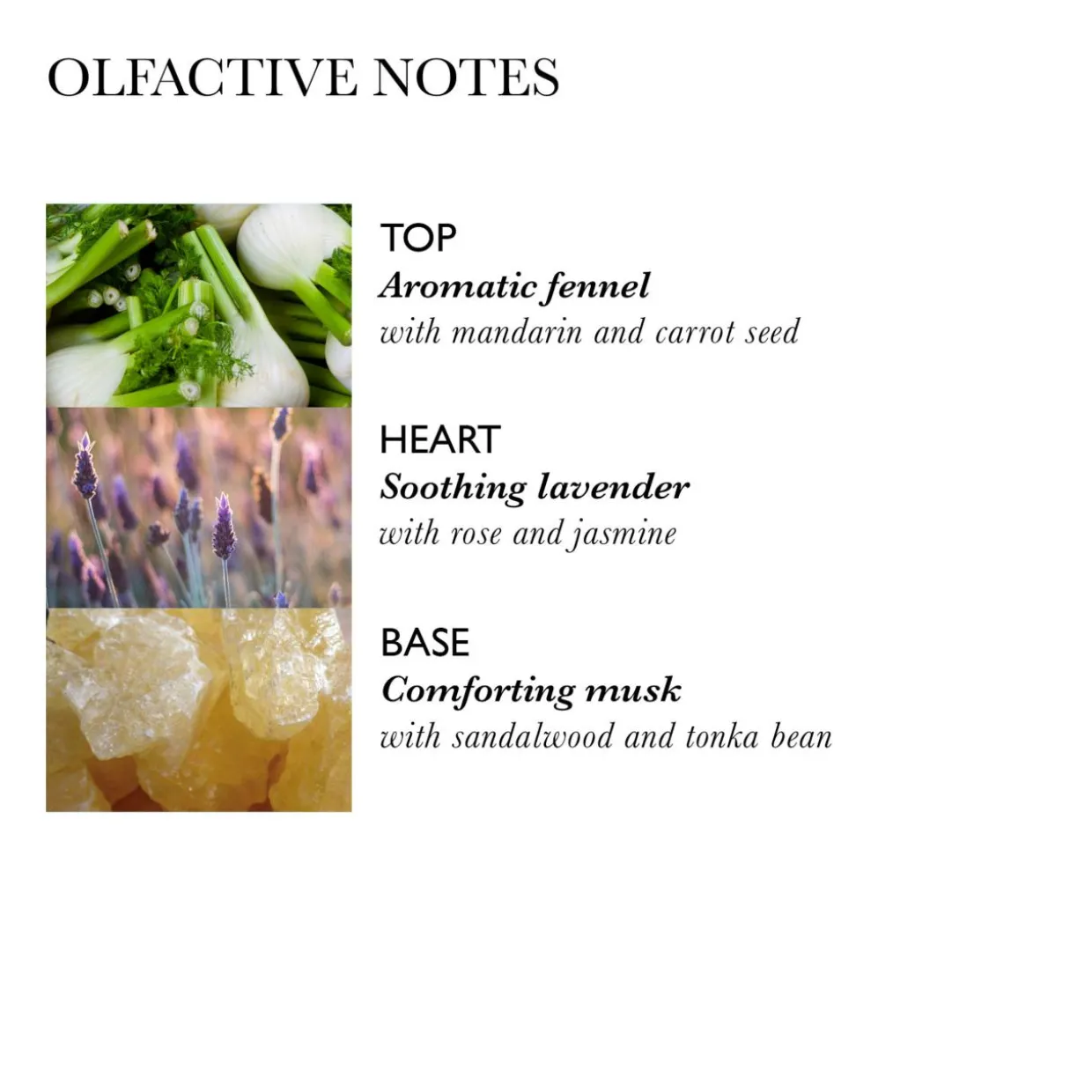 Intense Repairing Hair Mask With Fennel