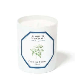 Jasmine