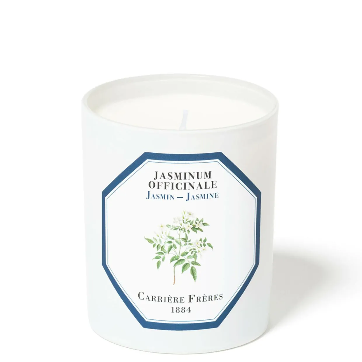 Jasmine