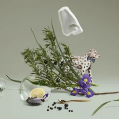Juniper Sling Eau de Toilette