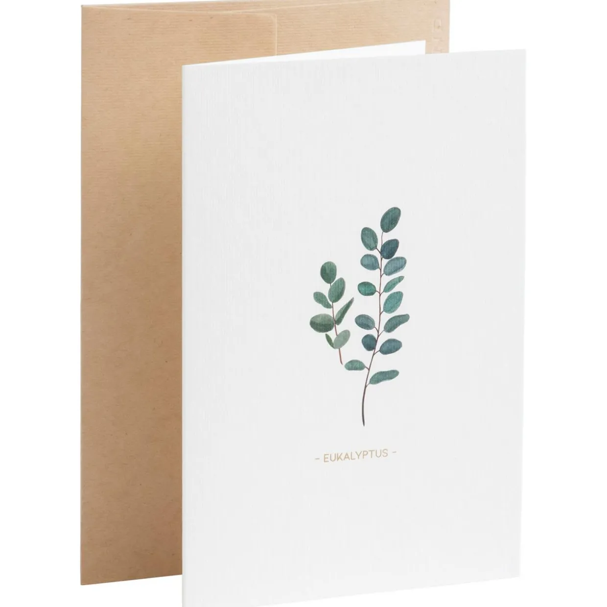 Karte Botanicals - Eukalyptus