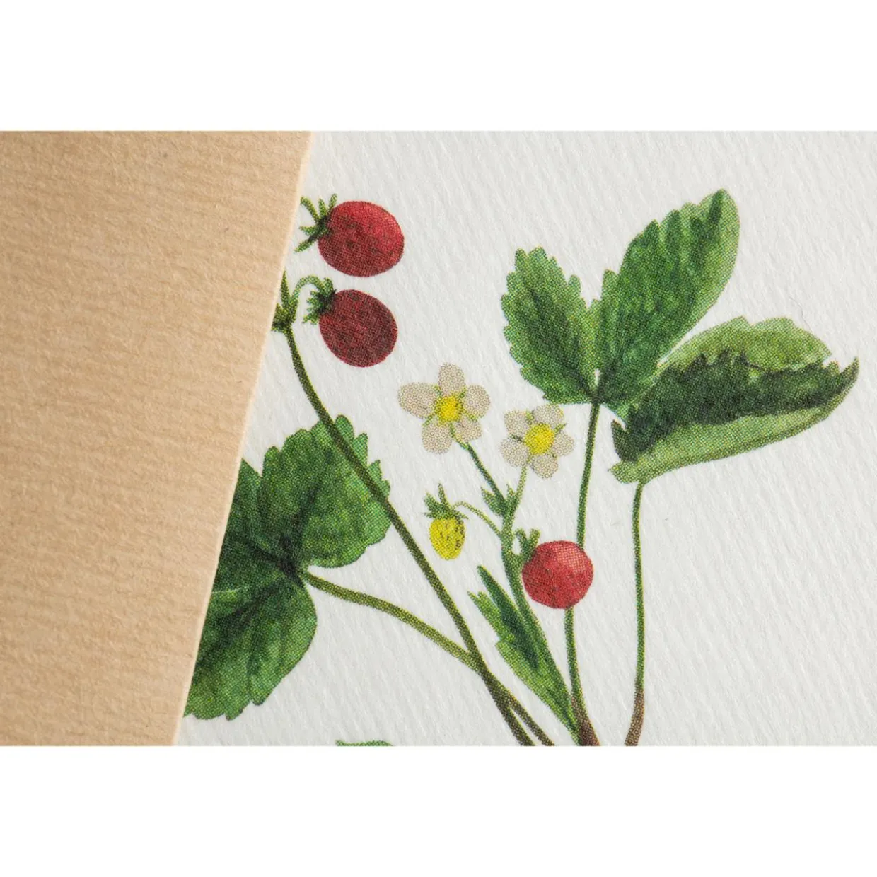 Karte Botanicals - Süße Beere