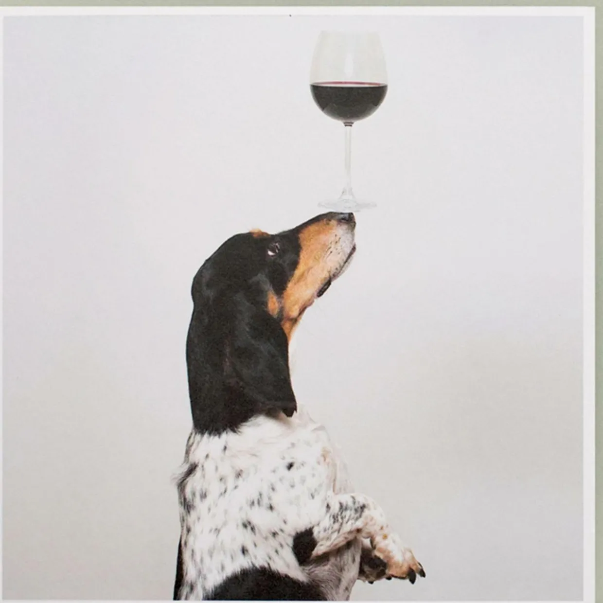 Karte Hund