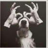 Karte Hund